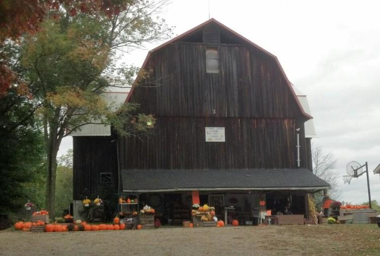 Our 100 Year Old Barn