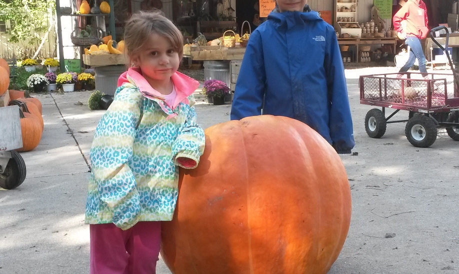 A 172 pound pumpkin picked on Sunday, September 20!