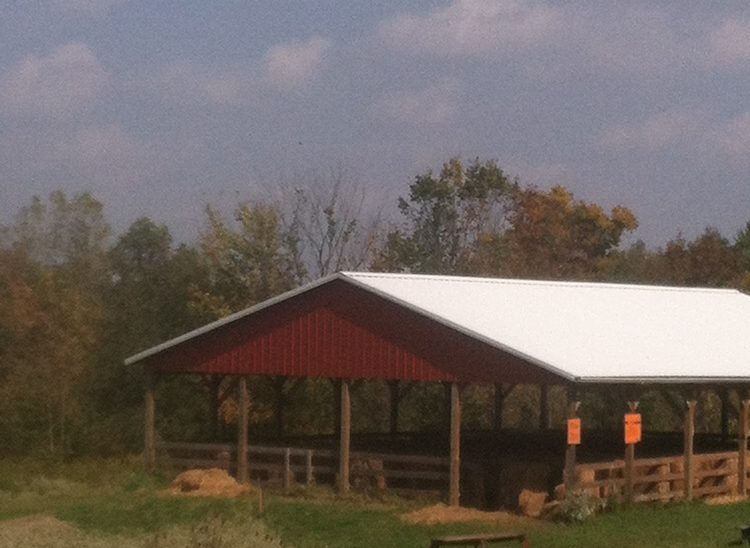 The Straw Maze