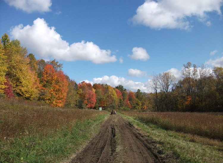 The fall colors are beautiful!