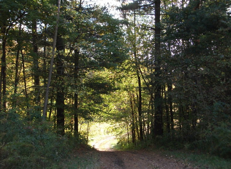 The beginning of the hayride goes down the hill into the valley.